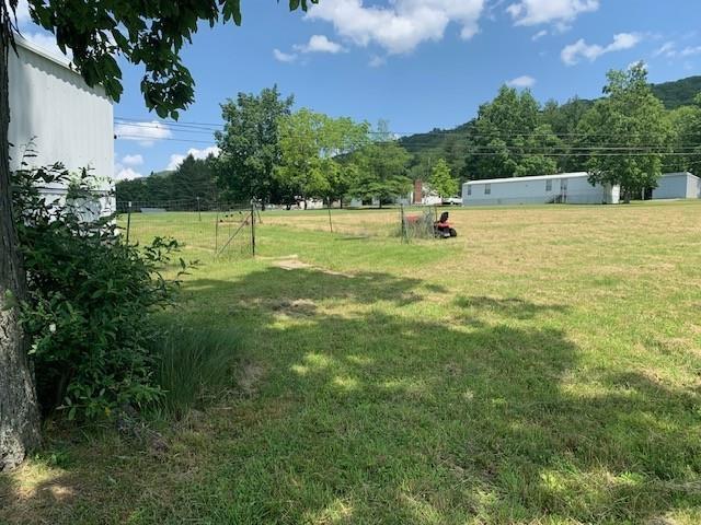 303 Myers-Moon Rd, Monterey, VA 24465 - view of yard
