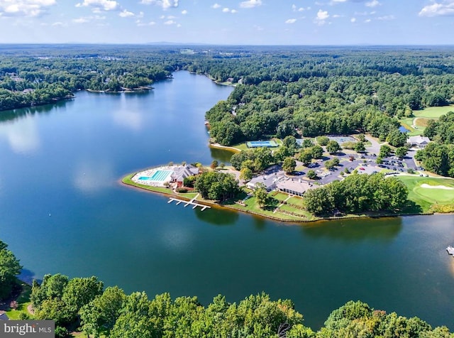 11220 Chivalry Chase Ln, Spotsylvania, VA 22551 - aerial view of a heavily wooded area and a nearby body of water
