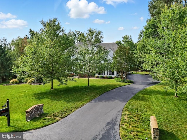 11220 Chivalry Chase Ln, Spotsylvania, VA 22551 - view of community featuring a lawn