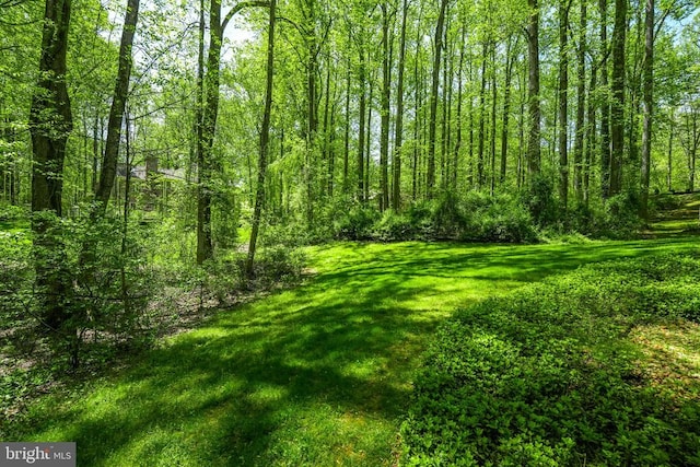  - view of wooded area
