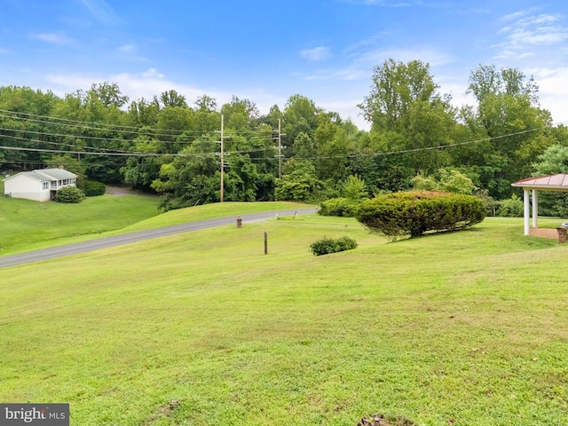 27 Atkins Rd, Sperryville, VA 22740 - photo 46