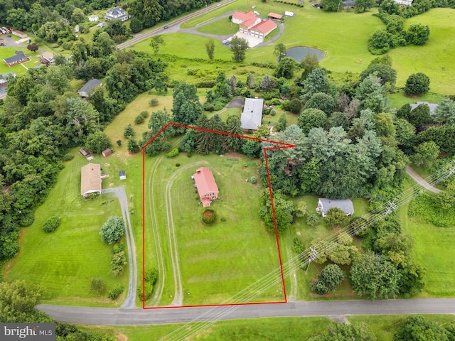 27 Atkins Rd, Sperryville, VA 22740 - photo 49