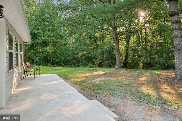 10443 Settle School Rd, Rixeyville, VA 22737 - view of yard with a patio area and a forest view