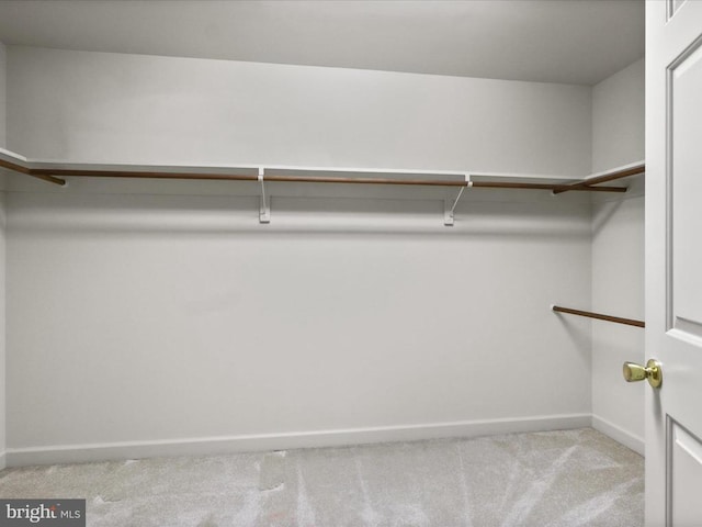  - walk in closet featuring carpet