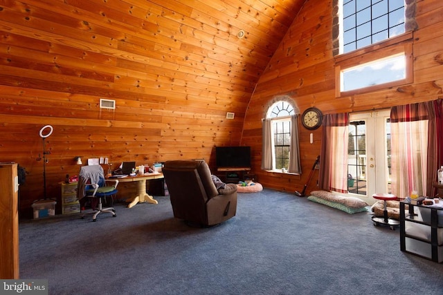 18075 Safe Haven Way, Culpeper, VA 22701 - office space with carpet floors, wood walls, and high vaulted ceiling