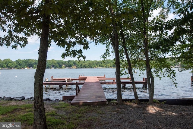 238 David Rd, Mineral, VA 23117 - dock area with a water view and a view of trees