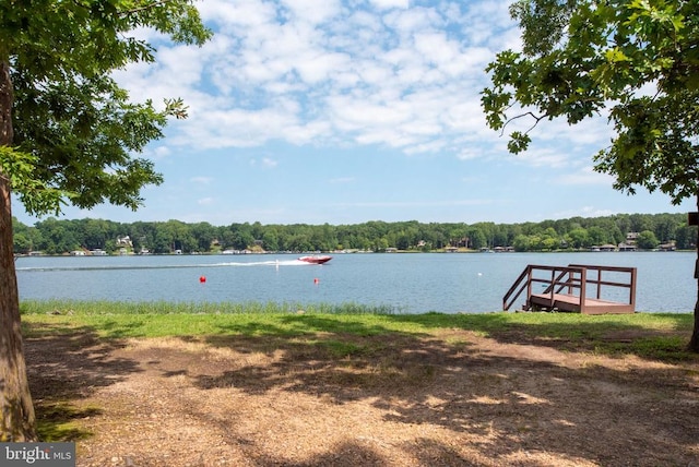 238 David Rd, Mineral, VA 23117 - water view with a forest