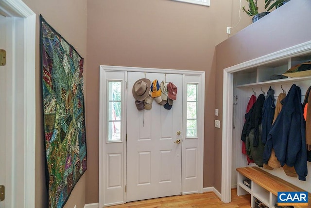 895 Jefferson Dr, Palmyra, VA 22963 - foyer entrance with healthy amount of natural light, light wood-type flooring, baseboards, and a high ceiling