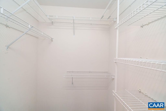 895 Jefferson Dr, Palmyra, VA 22963 - view of walk in closet