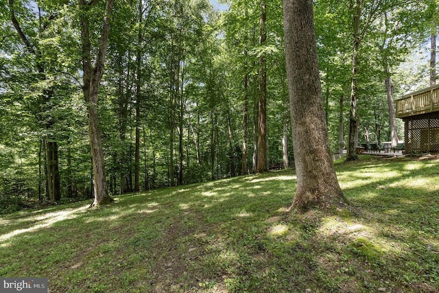 6217 Oak Grove Dr, Fredericksburg, VA 22407 - view of green lawn with a wooden deck