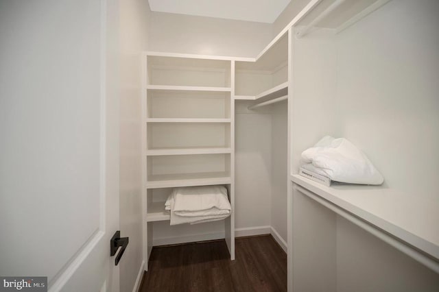 112 Edgehill Dr, Locust Grove, VA 22508 - walk in closet featuring dark wood-style flooring