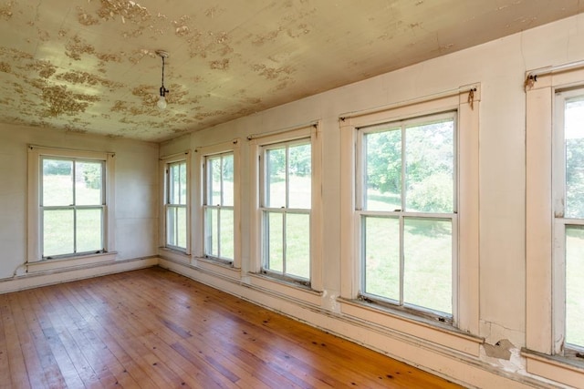 253 Church St, Timberville, VA 22853 - empty room with wood-type flooring and plenty of natural light