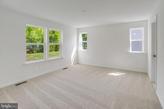 35619 Pine Needle Ln, Locust Grove, VA 22508 - photo 27