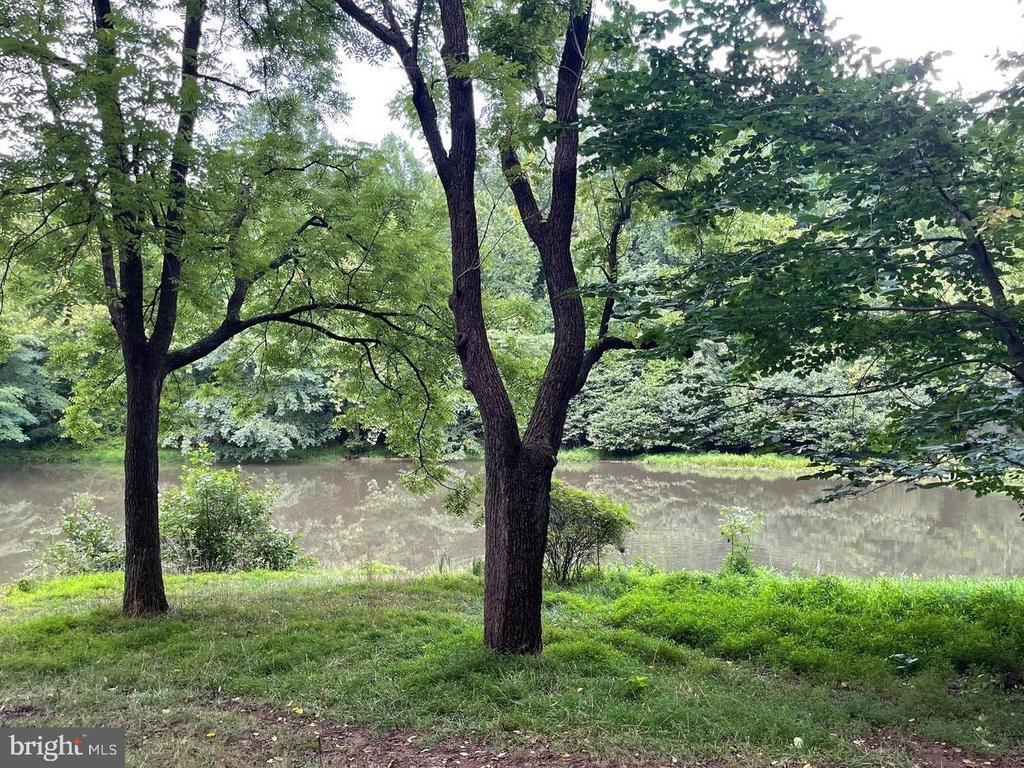 Harmony Ln, Stanley, VA 22851 - photo 3