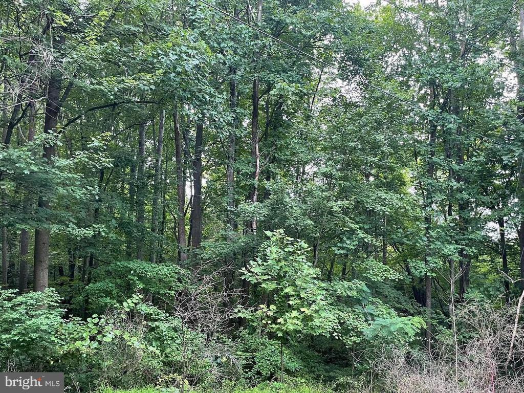 Harmony Ln, Stanley, VA 22851 - photo 4