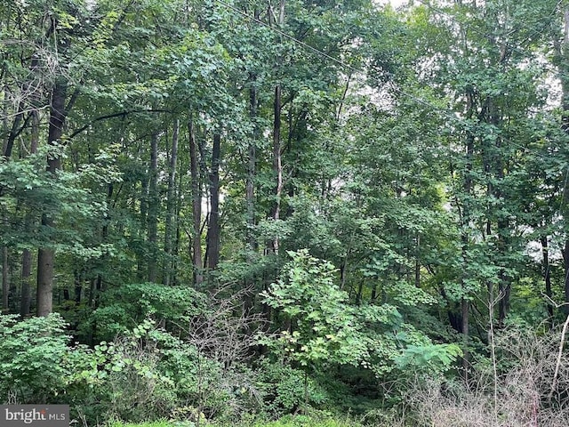 Harmony Ln, Stanley, VA 22851 - photo 4