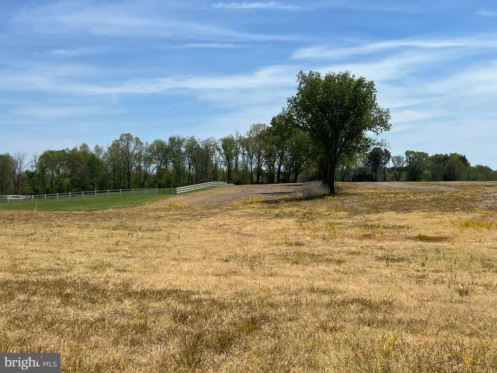 Langhorne, Scottsville, VA 24590