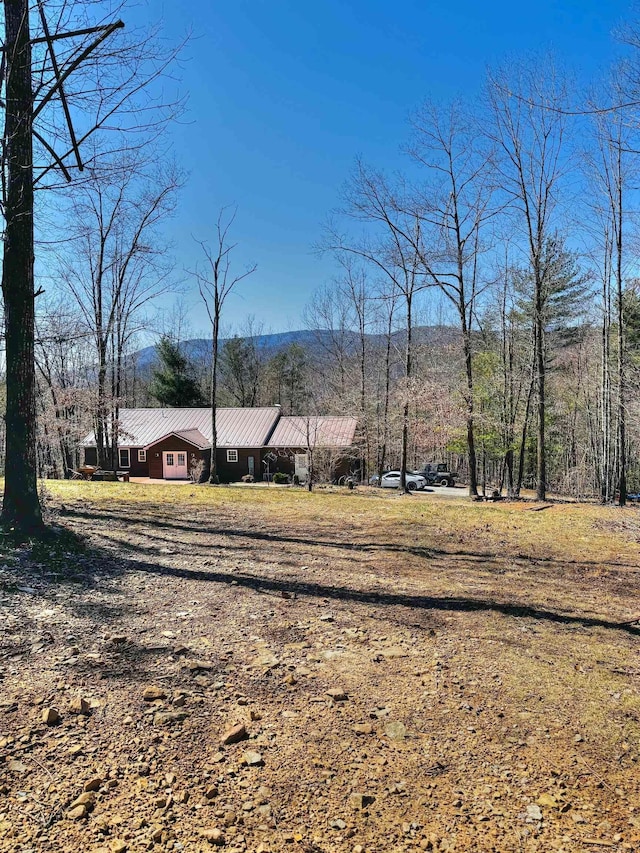 12101 Squirrel Dr, Fulks Run, VA 22830 - view of yard featuring driveway