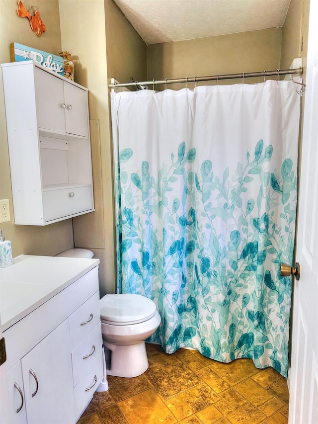 12101 Squirrel Dr, Fulks Run, VA 22830 - bathroom featuring vanity, stone finish flooring, curtained shower, and a textured ceiling