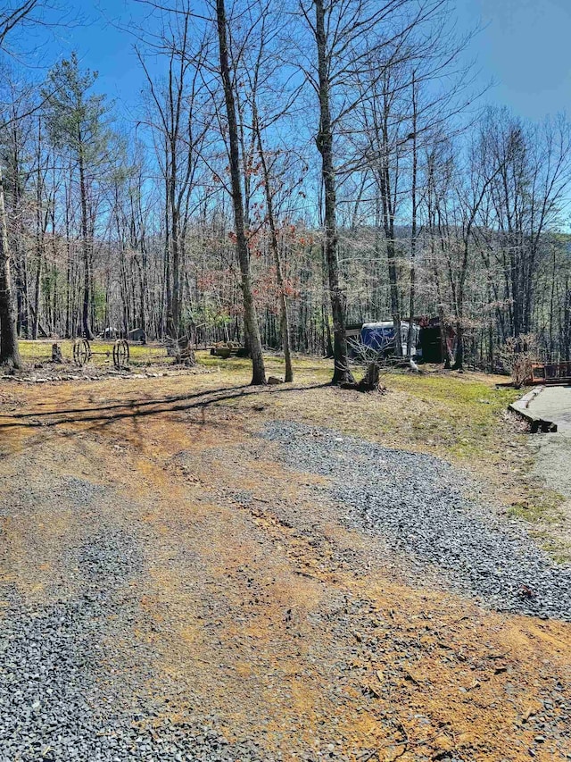 12101 Squirrel Dr, Fulks Run, VA 22830 - view of yard