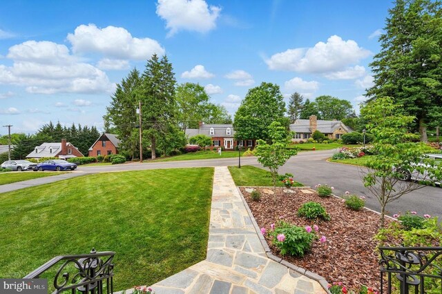 view of grassy yard featuring a residential view