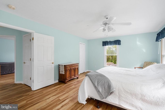 531 Parkview Estates Rd, Luray, VA 22835 - bedroom with light wood-style floors, baseboards, ceiling fan, and a closet