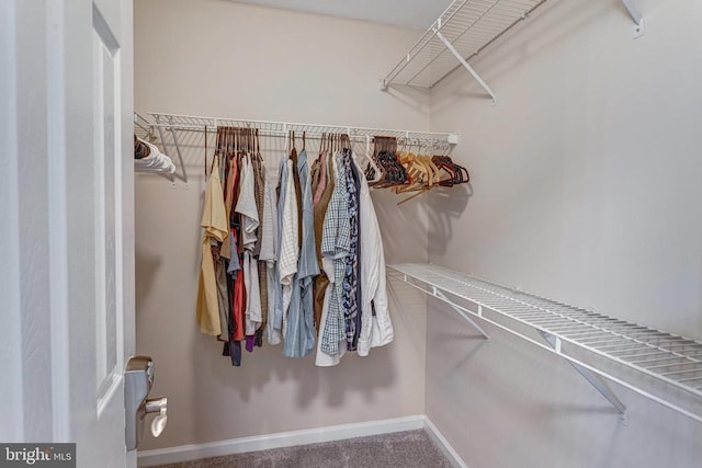 11211 Spring Meadow Blvd, Fredericksburg, VA 22407 - walk in closet featuring carpet floors