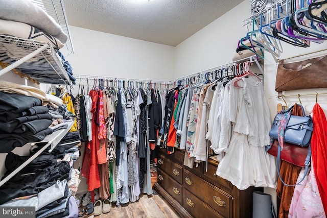 36017 Coyote Trl, Locust Grove, VA 22508 - walk in closet featuring wood finished floors