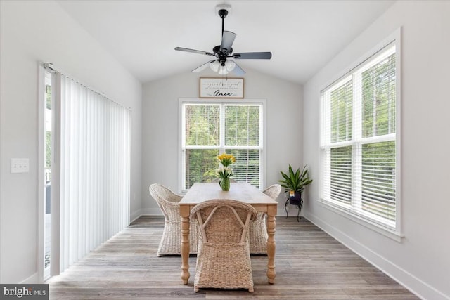 5509 Bazzanella Dr, Mineral, VA 23117 - dining space featuring plenty of natural light, ceiling fan, lofted ceiling, and wood finished floors