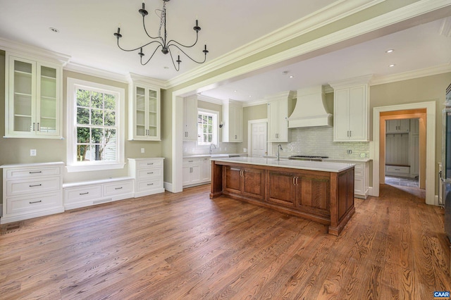 2621 Coopers Ln, Charlottesville, VA 22902 - kitchen with light countertops, wood finished floors, custom range hood, and glass insert cabinets