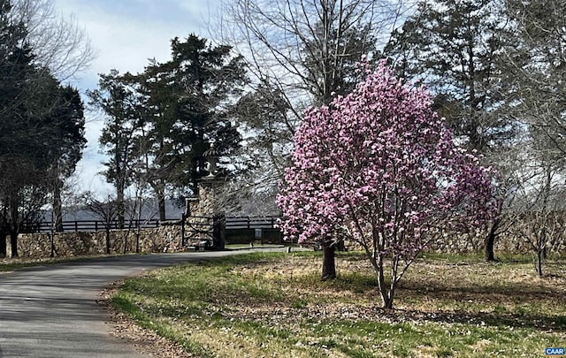 2621 Coopers Ln, Charlottesville, VA 22902 - view of street