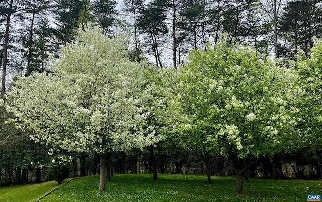 2621 Coopers Ln, Charlottesville, VA 22902 - view of landscape