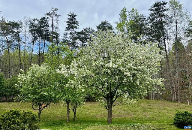 2621 Coopers Ln, Charlottesville, VA 22902 - view of nature