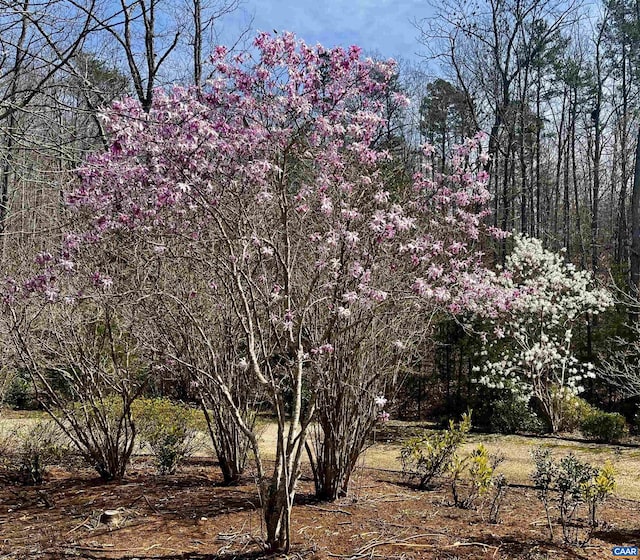 2621 Coopers Ln, Charlottesville, VA 22902 - view of nature