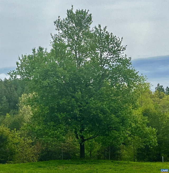 2621 Coopers Ln, Charlottesville, VA 22902 - view of nature with a view of trees