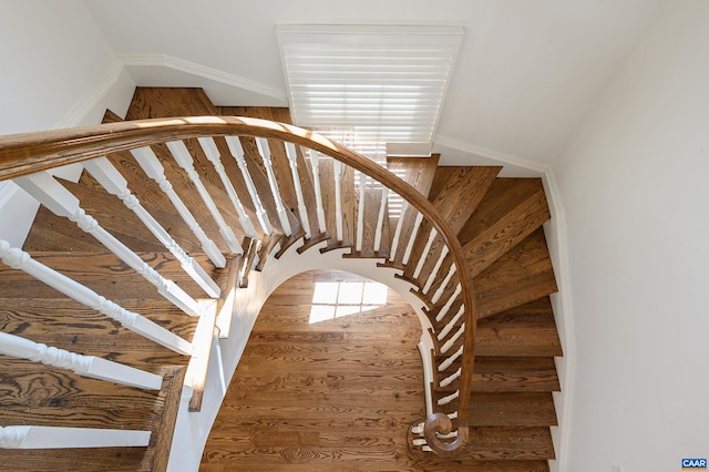 2621 Coopers Ln, Charlottesville, VA 22902 - view of stairs