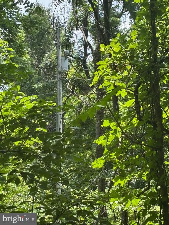 Mount Pisgah Church Dr, Orange, VA 22960 - photo 6