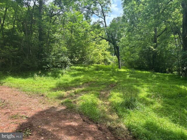 Mount Pisgah Church Dr, Orange, VA 22960 - photo 17
