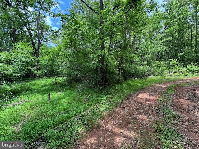 Mount Pisgah Church Dr, Orange, VA 22960 - photo 16