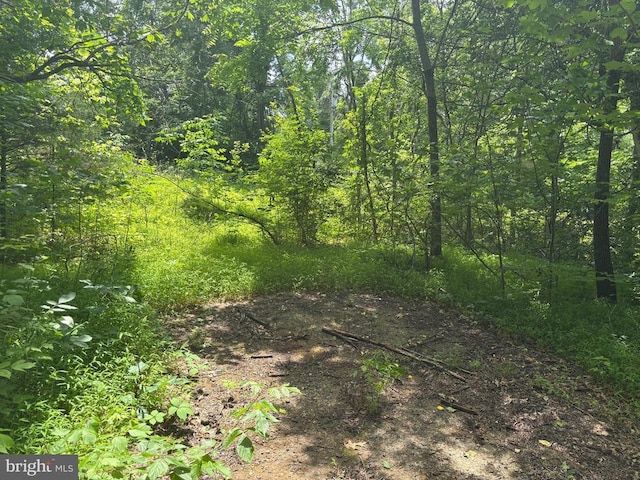 Mount Pisgah Church Dr, Orange, VA 22960 - photo 13
