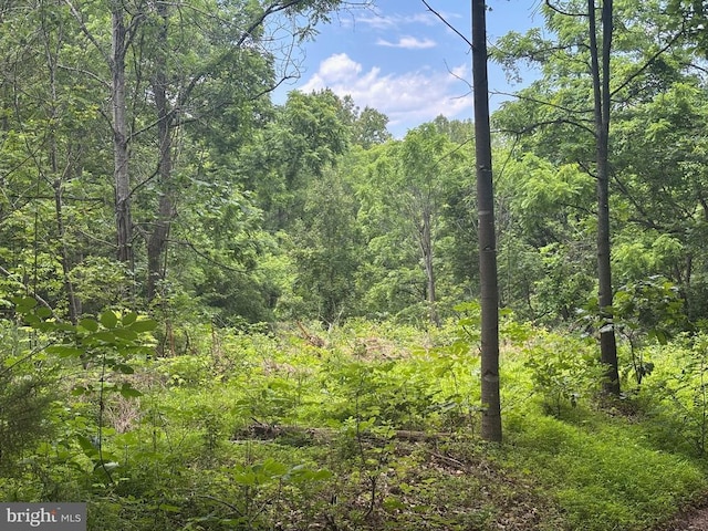 Mount Pisgah Church Dr, Orange, VA 22960 - photo 11