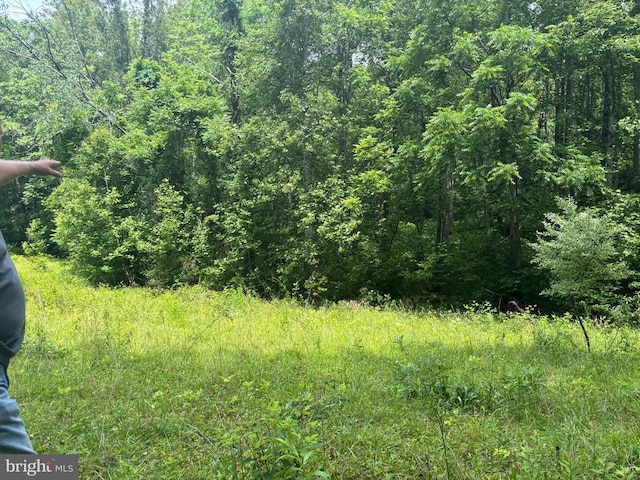 Mount Pisgah Church Dr, Orange, VA 22960 - photo 19