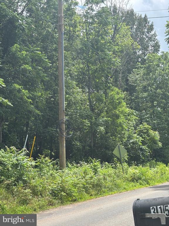 Mount Pisgah Church Dr, Orange, VA 22960 - photo 20
