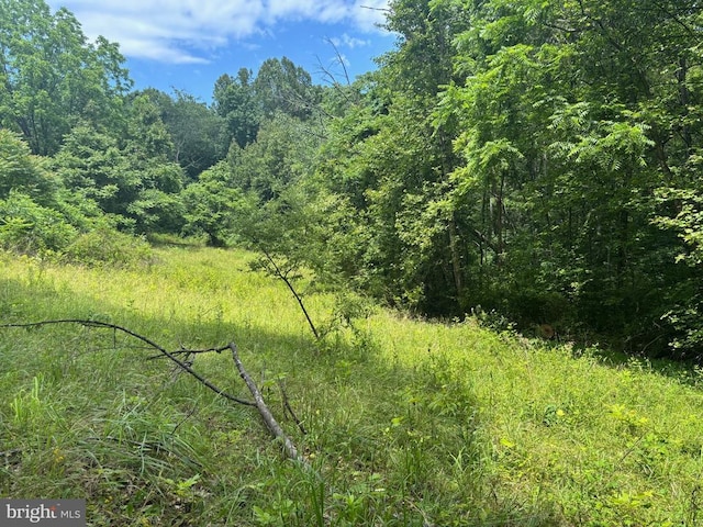 Mount Pisgah Church Dr, Orange, VA 22960 - photo 18