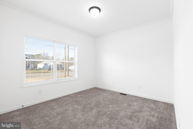 824 Mineral Ave, Mineral, VA 23117 - photo 25