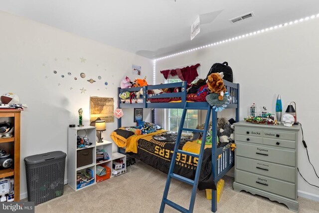 9109 Snowy Egret Ct, Spotsylvania, VA 22553 - photo 39
