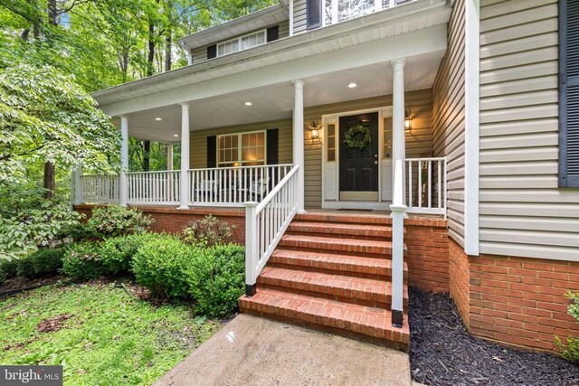 9109 Snowy Egret Ct, Spotsylvania, VA 22553 - photo 7