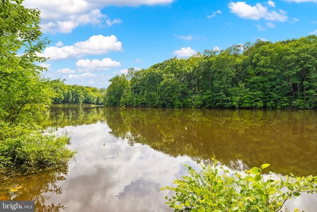 9109 Snowy Egret Ct, Spotsylvania, VA 22553 - photo 61
