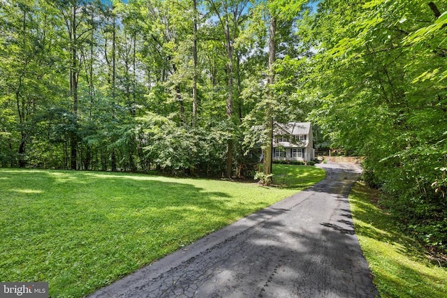 9109 Snowy Egret Ct, Spotsylvania, VA 22553 - photo 8