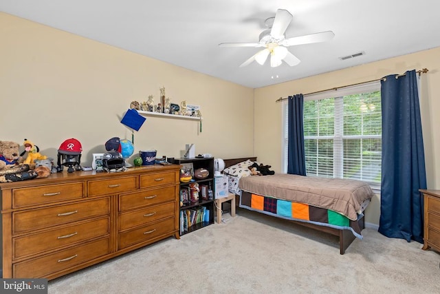 9109 Snowy Egret Ct, Spotsylvania, VA 22553 - photo 40